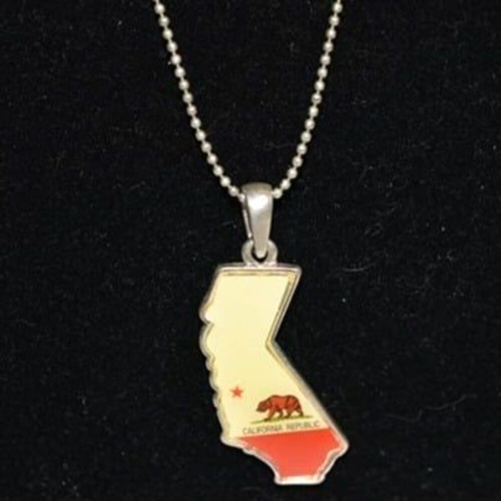 California Republic Enamel Inlay Silver Tone Pendant 18" Necklace